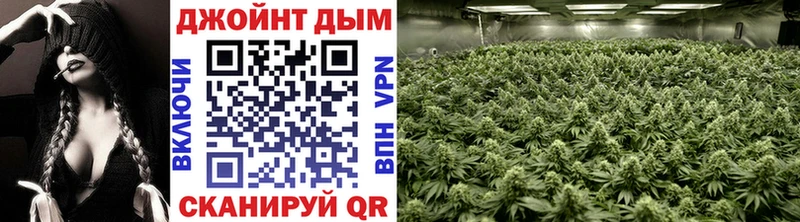 Шишки марихуана THC 21%  Купить где  Грозный 